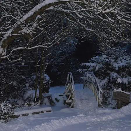 מלון Marleen ווינטרברג